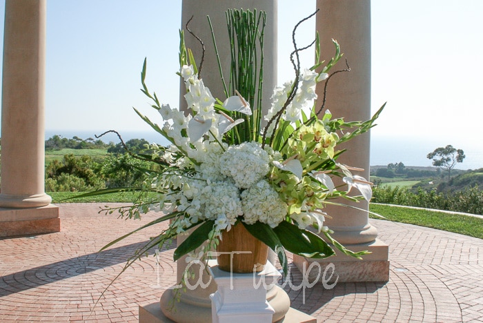 Mike and Rob’s Pelican Hill Resort Wedding
