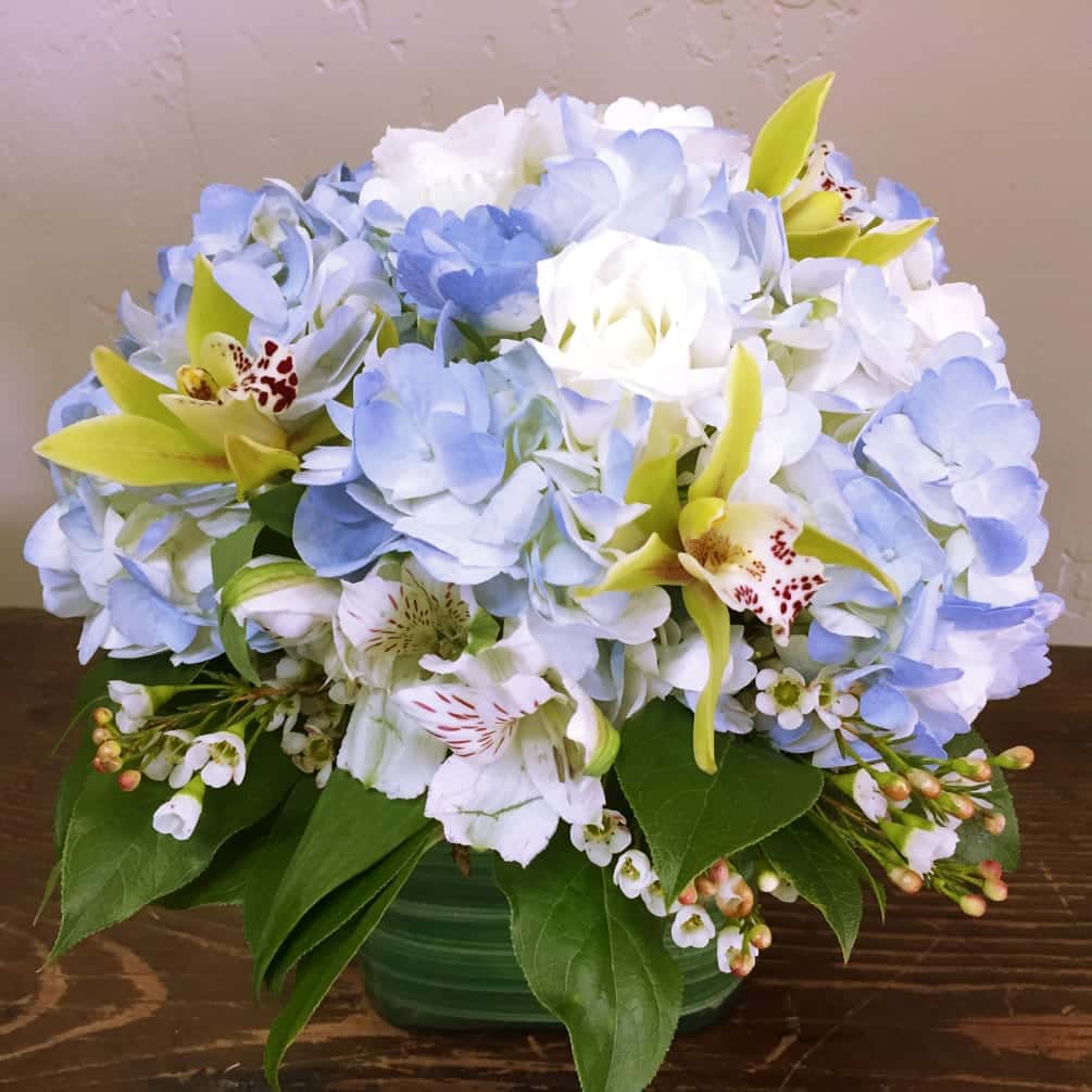 hydrangeas and orchids in a vase