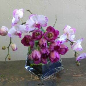 orchids and tulips