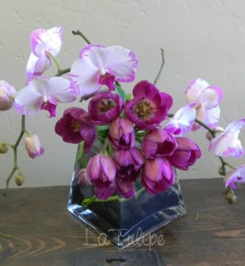 orchids and tulips