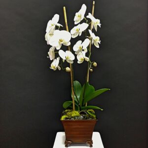 orchids arranged in a wood planter