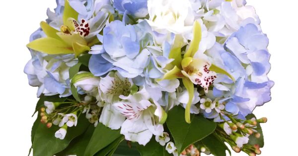 Flower 10thシングル　「blue sky blue」 Flower 10thシングル「Blue Sky Blue」4/29(水)Release | E