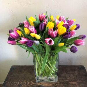 six dozen tulips in a vase
