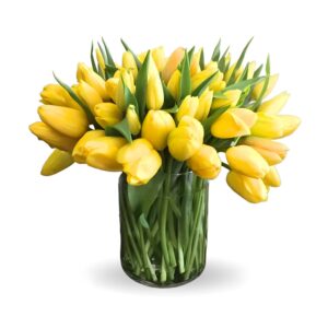 Tulip Town