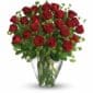 2 dozen red roses in a vase