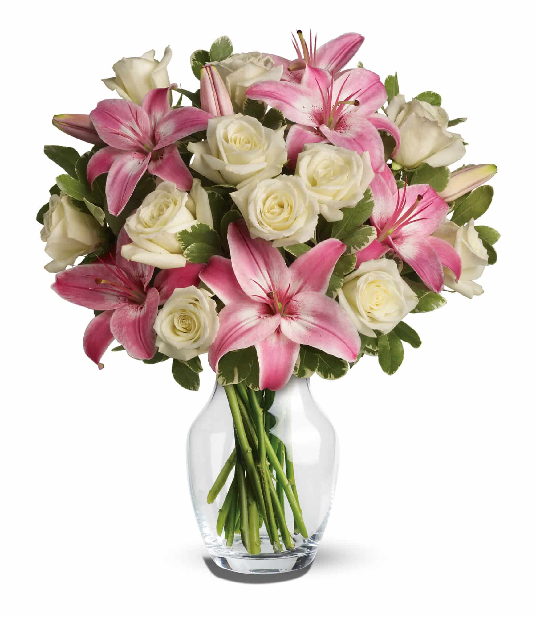pink and white flowers in a vase