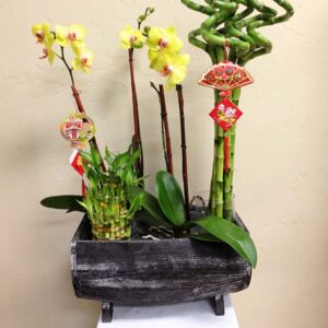 bamboo and orchids in planter