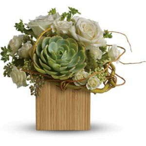 roses and succulents in vase