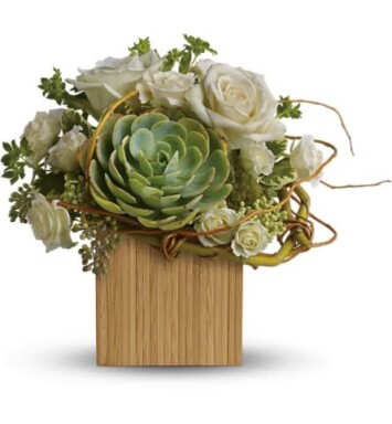 roses and succulents in vase