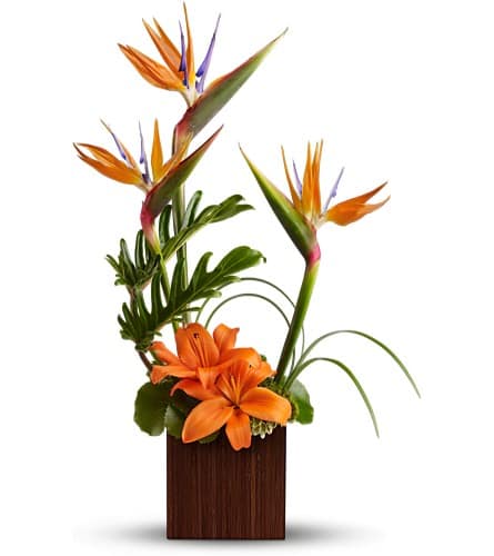 birds of paradise and orange Asiatic lilies