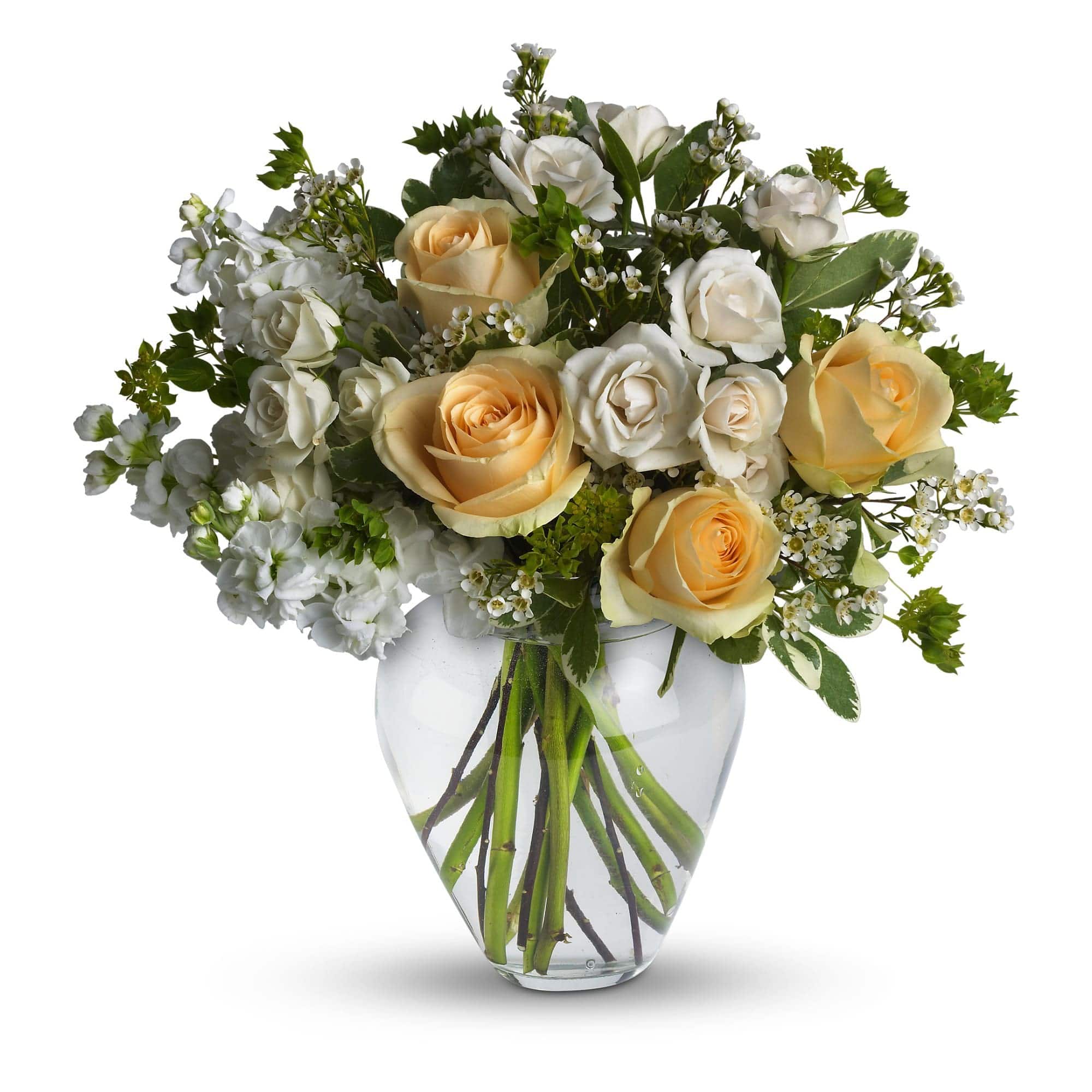 Crème and peach roses are mixed with white stock