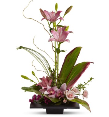 pink orchids on a flat square