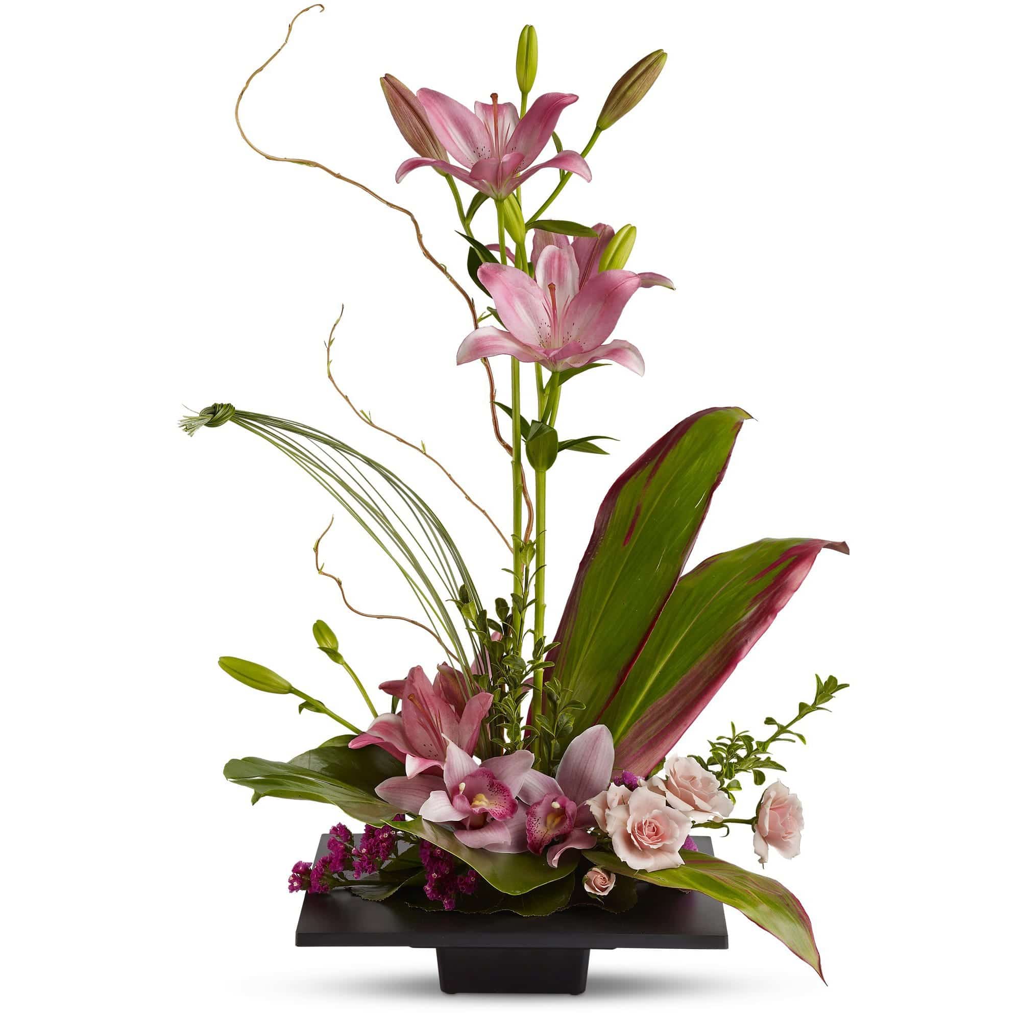 pink orchids on a flat square
