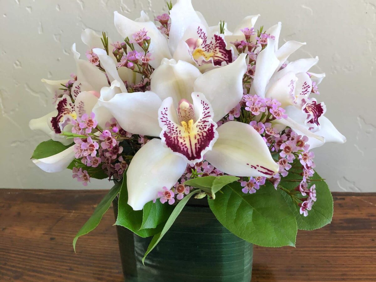 Lovely Orchids | La Tulipe floral designs