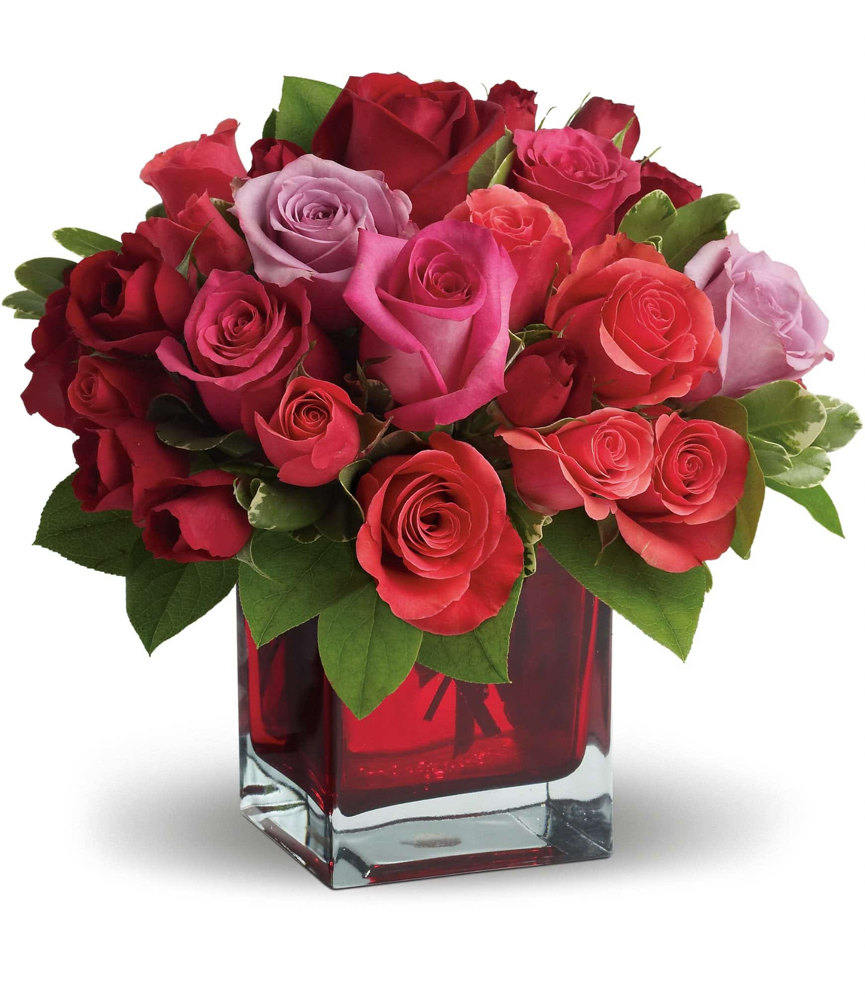 red roses in a small vase