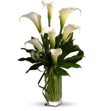 calla lilies in a vase