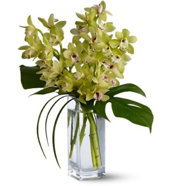 cymbidium orchids and lilies in a vase