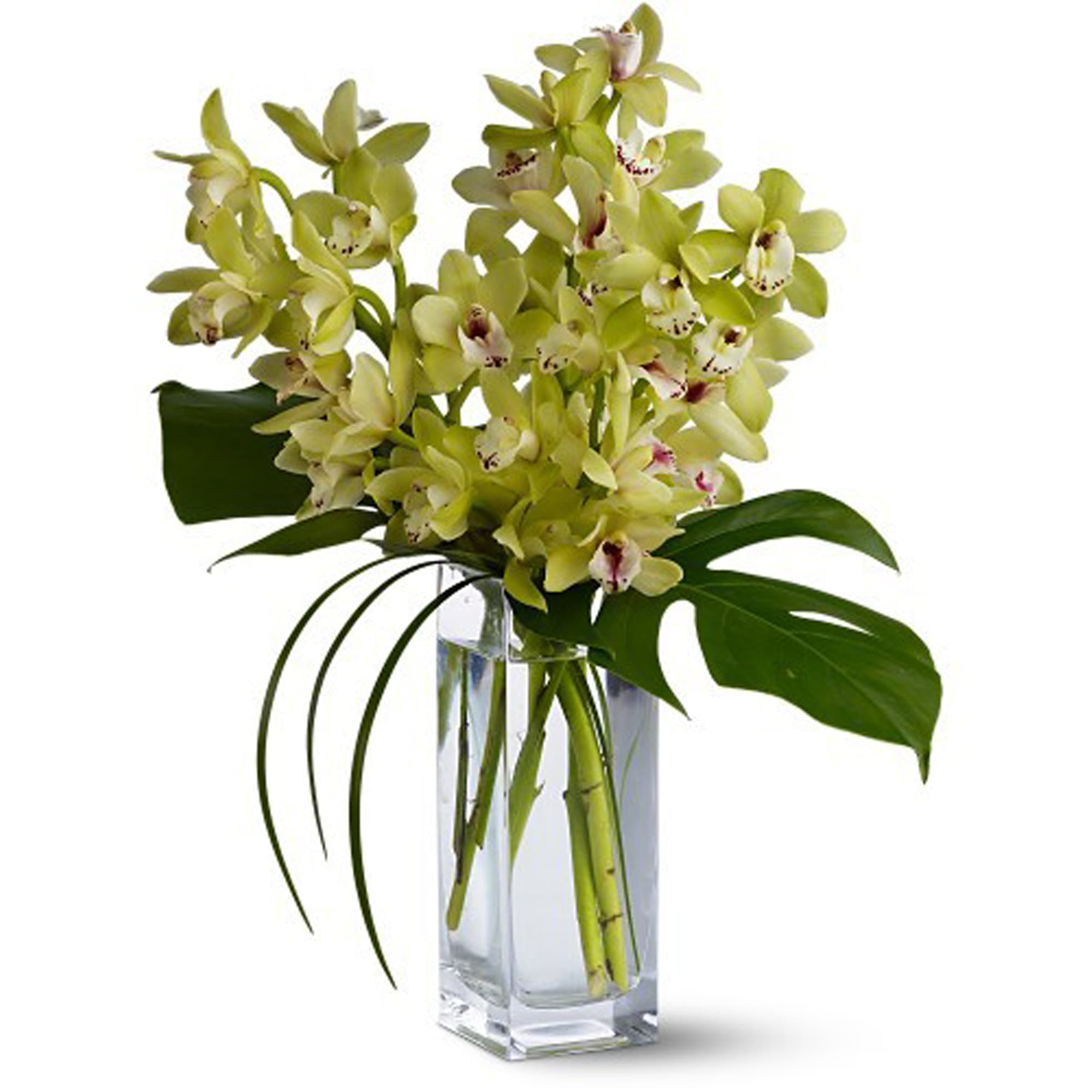 cymbidium orchids and lilies in a vase