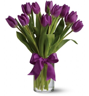 purple tulips in a vase