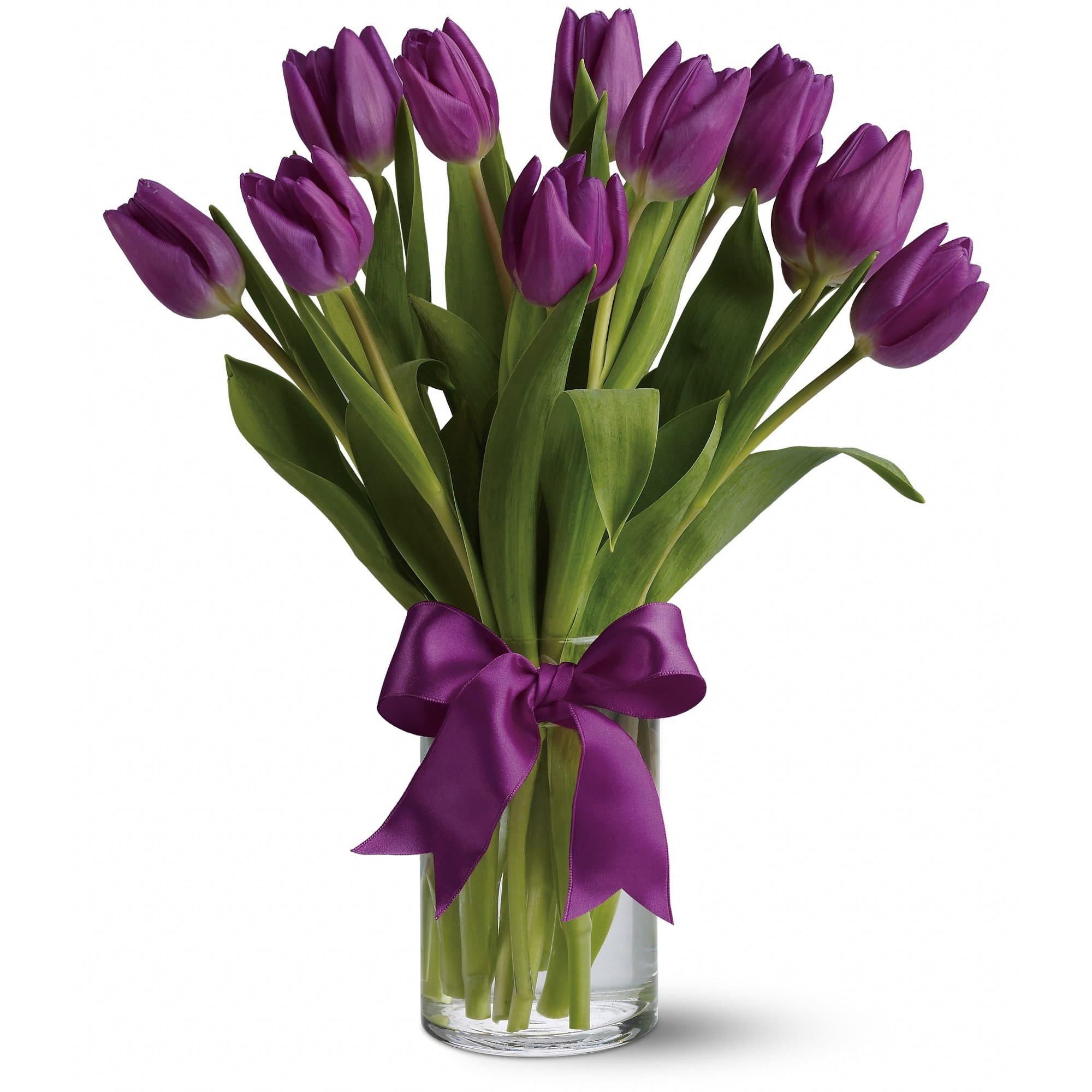 purple tulips in a vase