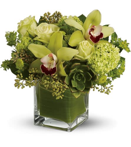 cymbidium orchid in a vase