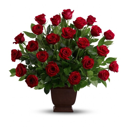 Two dozen traditional, ruby-red roses arranged in a classic urn