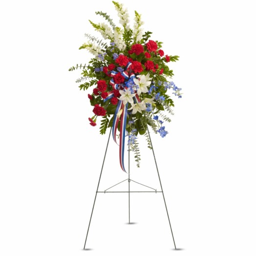 striking red, white and blue spray
