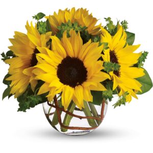 sunflowers in round vase