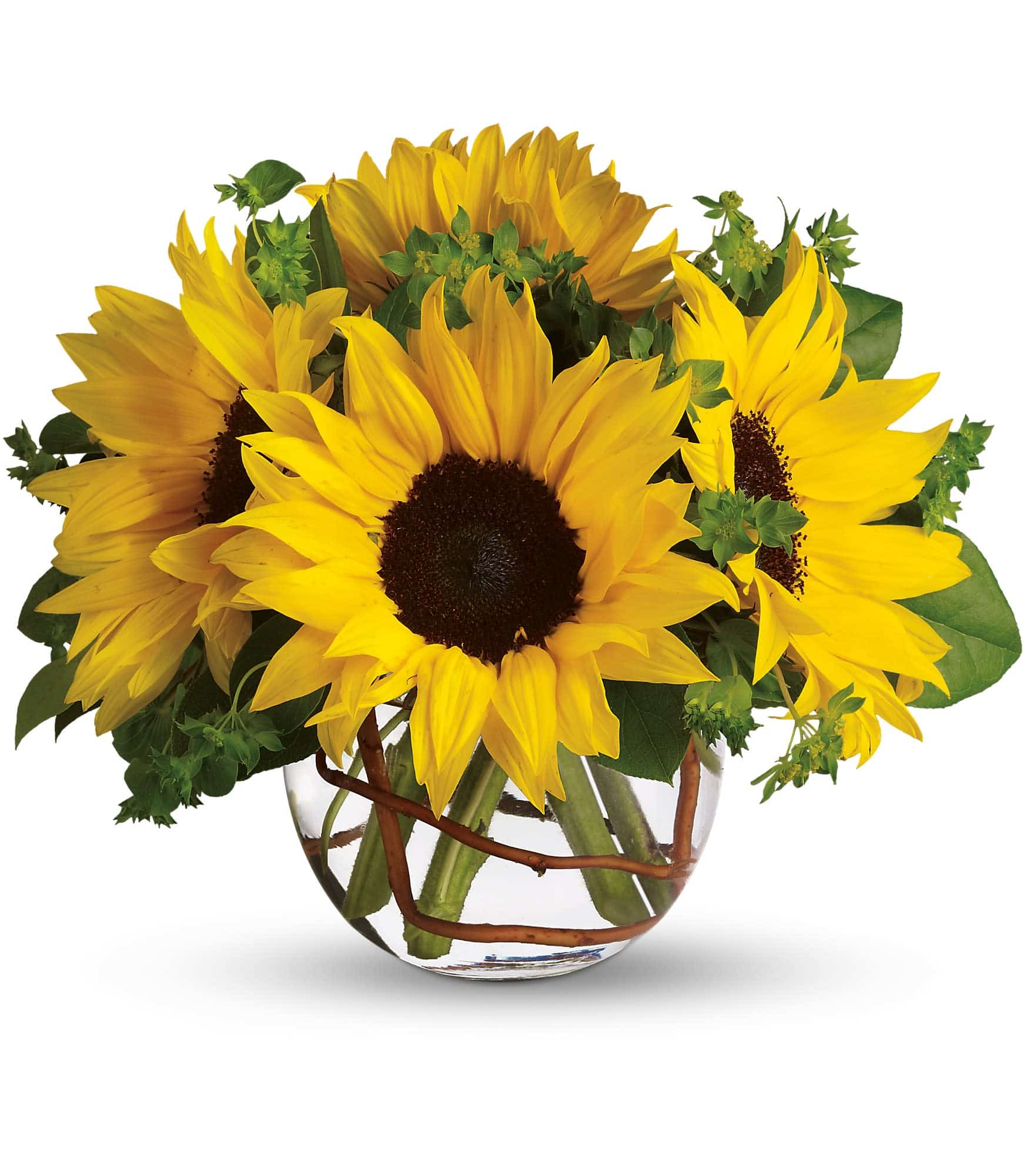 sunflowers in round vase