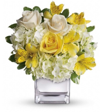 hydrangea, light yellow roses, crème roses and yellow alstroemeria