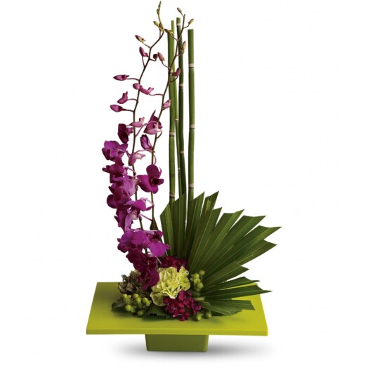tropical orchid in square vase
