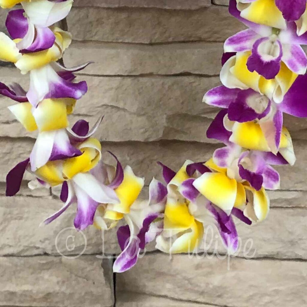 Purple Bombay Orchid & Plumeria Hawaiian Lei La Tulipe floral designs