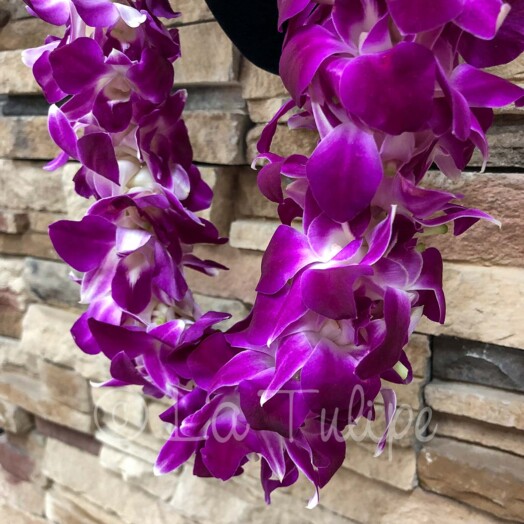triple dendrobium orchids hawaiian lei