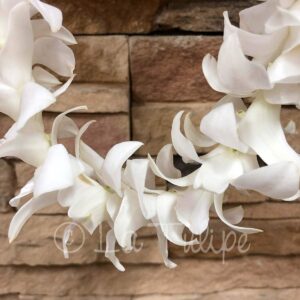 White dendrobium orchid hawaiian lei