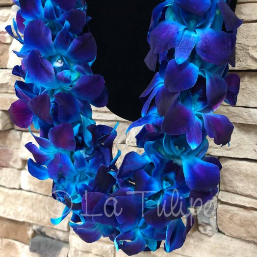 Triple Bombay Blue Orchid Hawaiian Lei