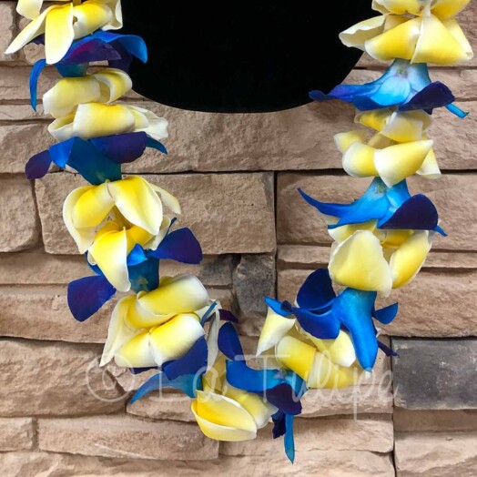 blue bombay orchid and yellow plumeria hawaiian lei