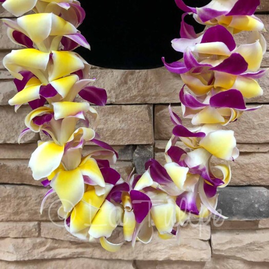 Double Bombay Purple Orchid & Yellow Plumeria Hawaiian Lei