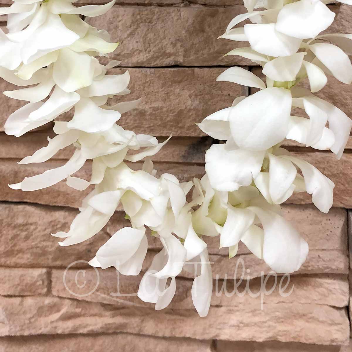 Double White Dendrobium Orchid Hawaiian Lei