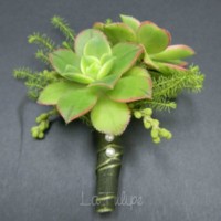 Boutonniere Gallery